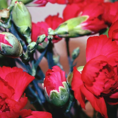 Beaufort House 4* New Ross