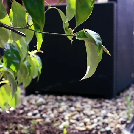 Couette-café Beaufort House 4*