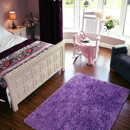 Beaufort House Couette-café New Ross