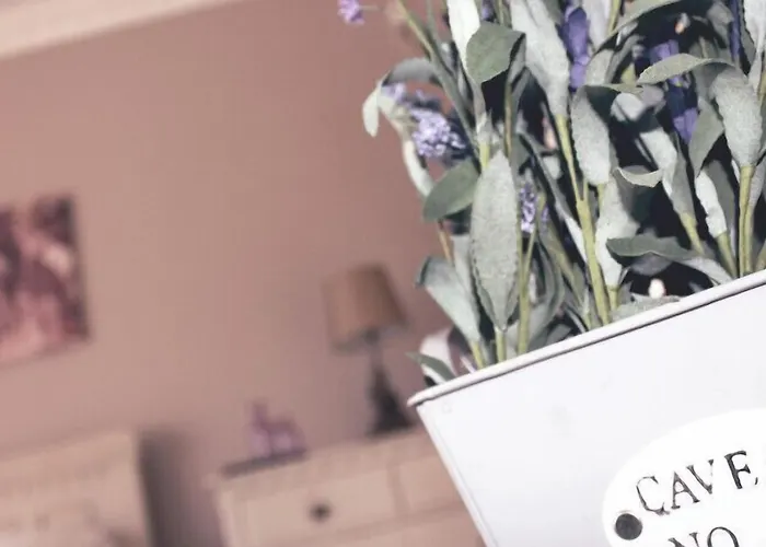 Beaufort House 4* 新罗斯