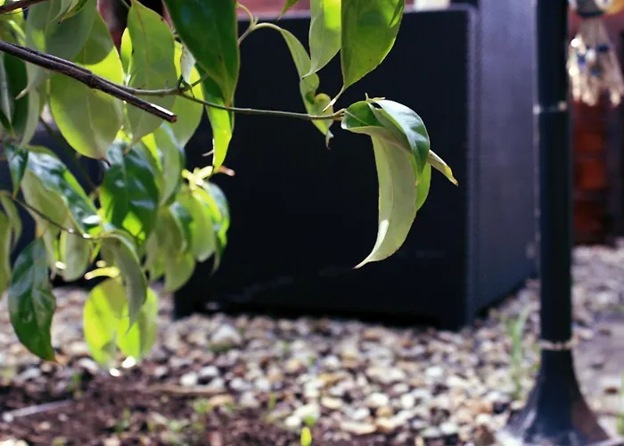 住宿加早餐酒店 Beaufort House 4*